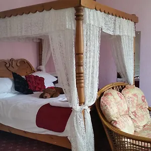 3* Guest house Winston House